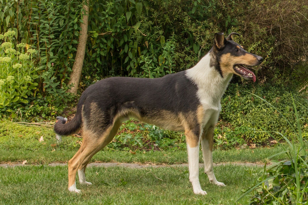 All Inclusive vom Feueropal